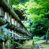 竹垣