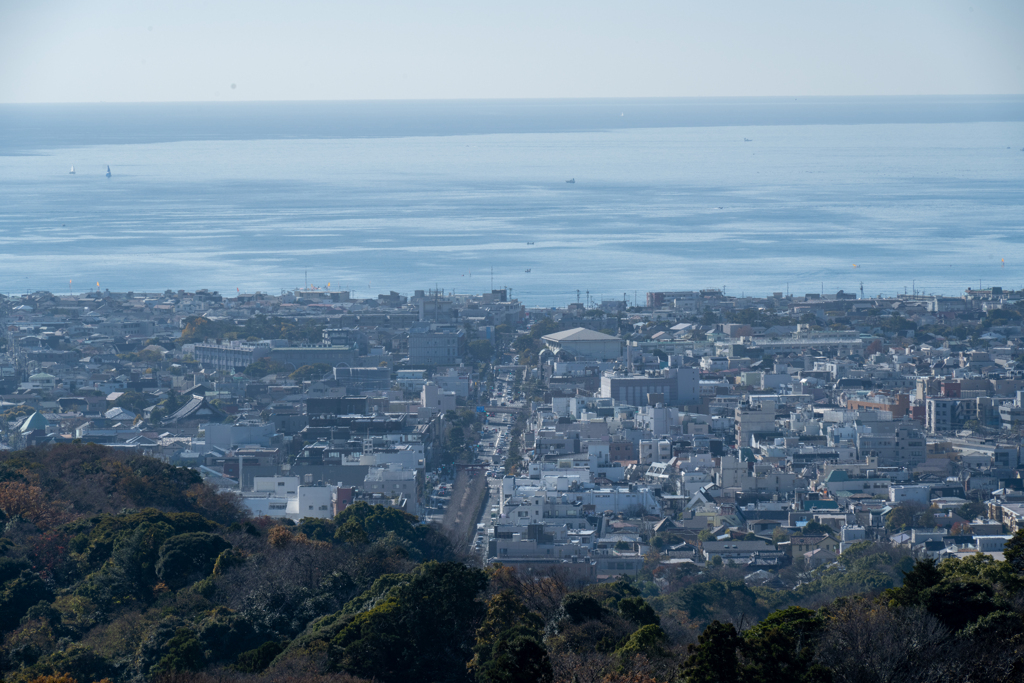 若宮大路と相模湾