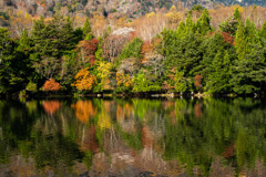 湖面の彩り