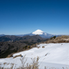 雪原の彼方に