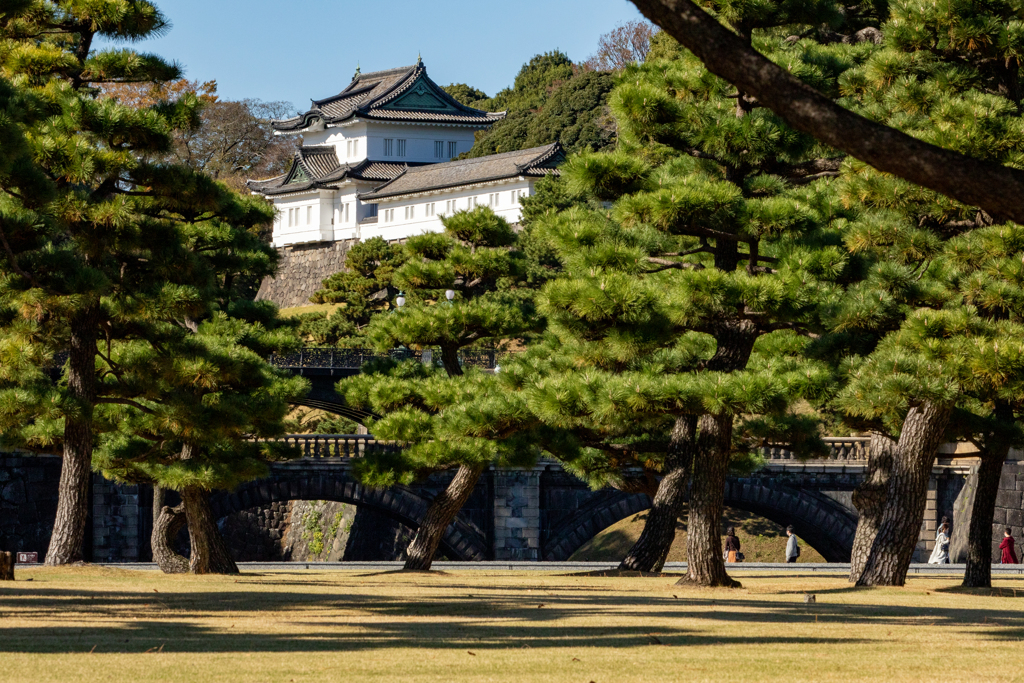 櫓と橋