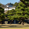 櫓と橋