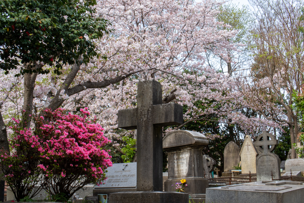 横浜外国人墓地