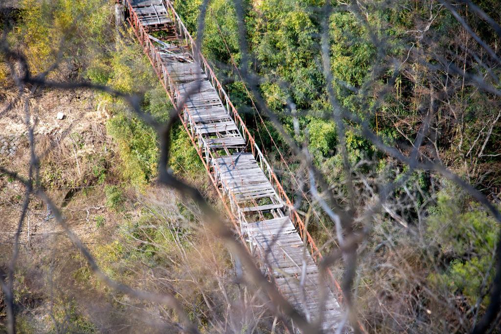 朽ち橋