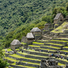 段々畑