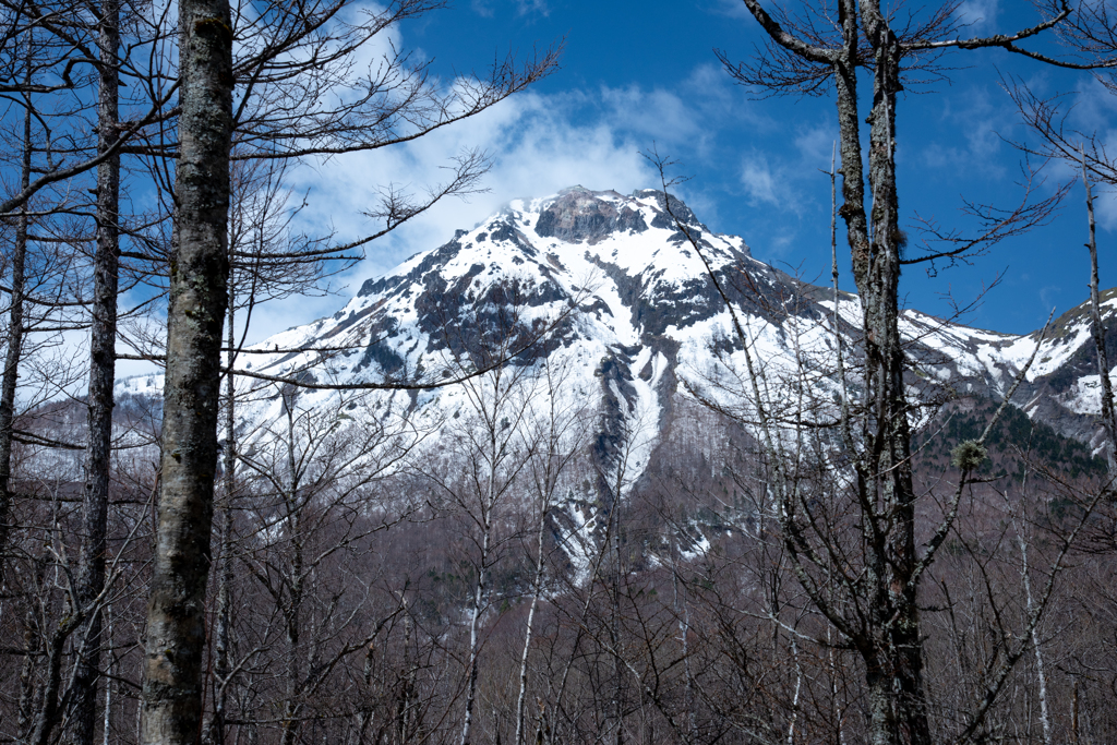 焼岳