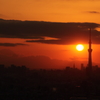 夕景～富士とスカイツリー