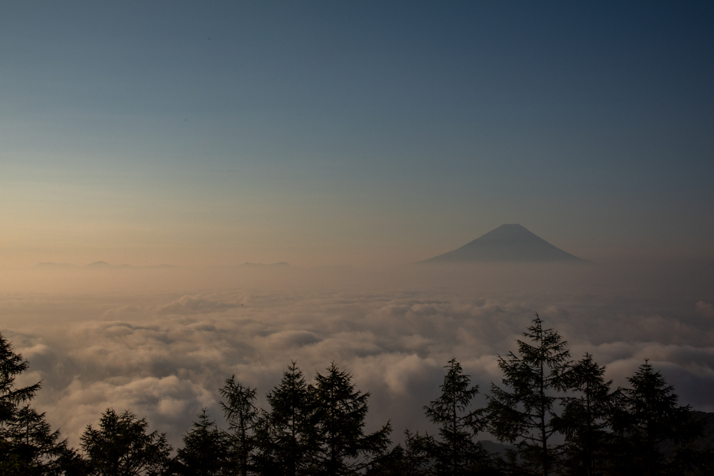 雲の海に、富士の島