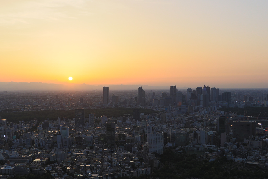 夕陽
