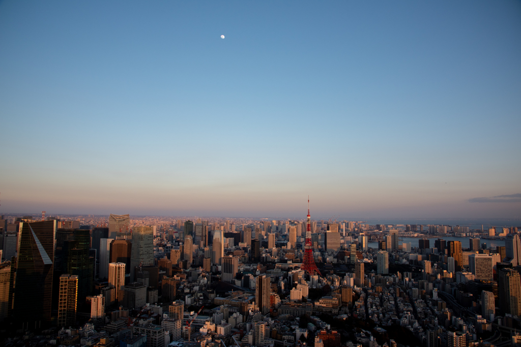 月下東京夕景