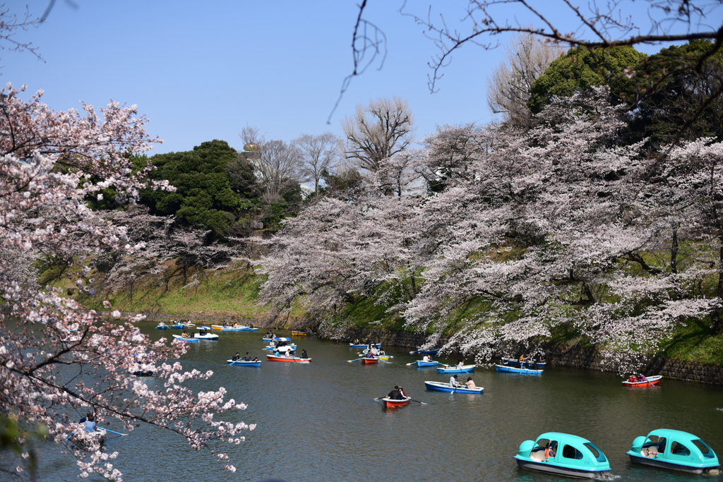 千鳥ヶ淵