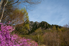 山の春