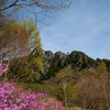 山の春