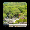 白砂青松庭