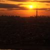 ある夕方の風景