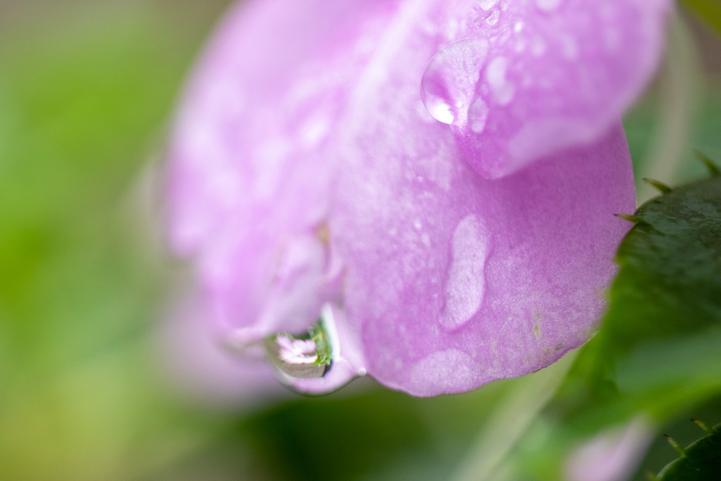 雨上がり