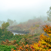 霧のひょうたん池