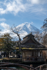 忍野八海中池