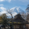 忍野八海中池