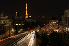夜桜ライトアップと東京タワー夜景