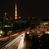夜桜ライトアップと東京タワー夜景