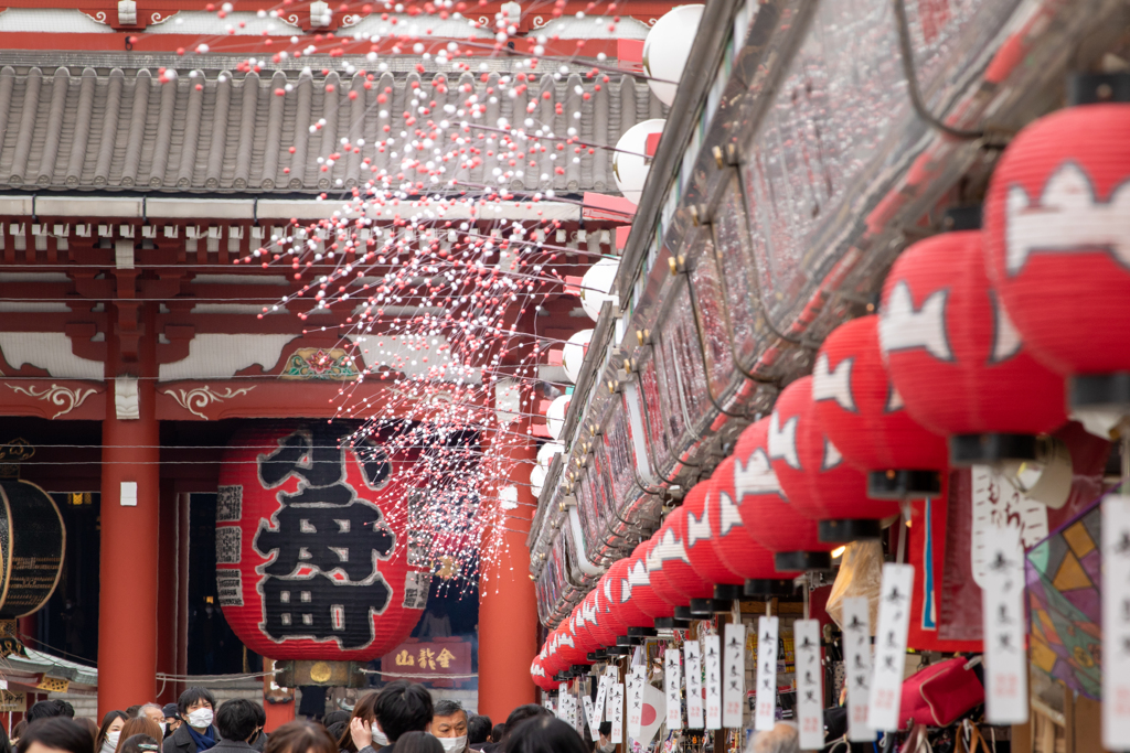 紅白餅花柳しだれ