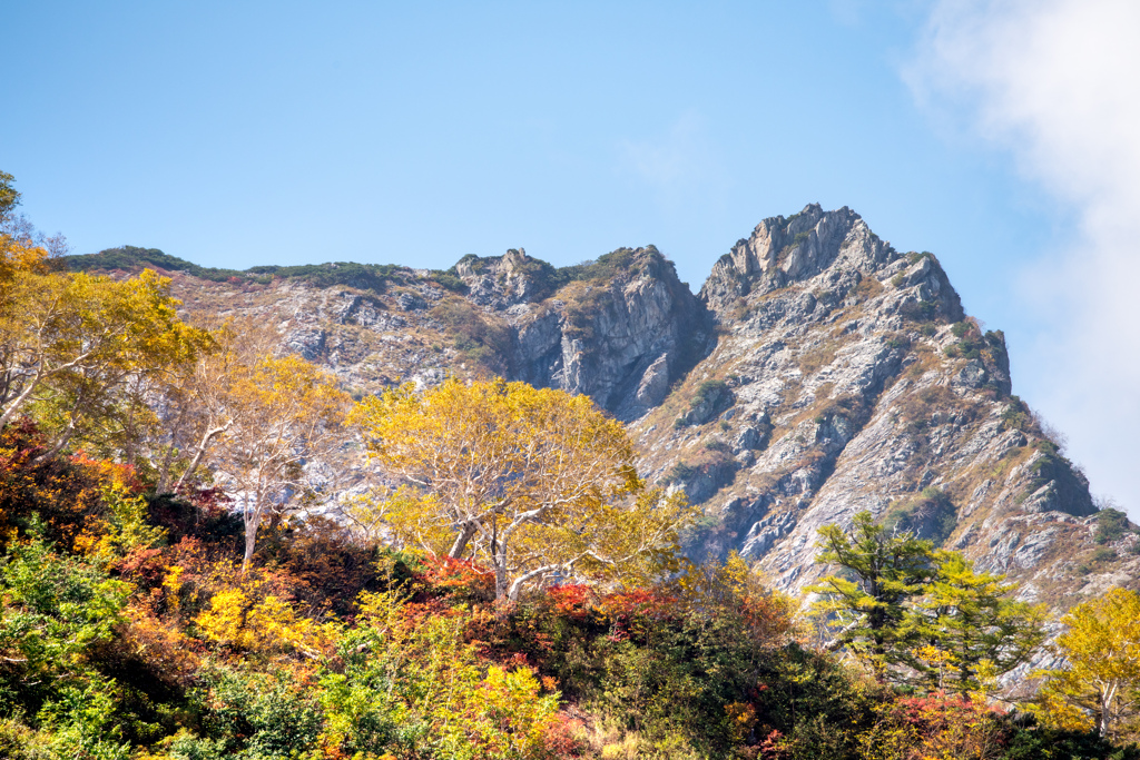山に黄葉