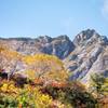 山に黄葉