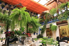 スペインのパティオ（中庭）レストラン（2）