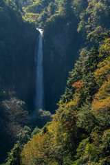 震動の滝