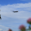 青空のランディング