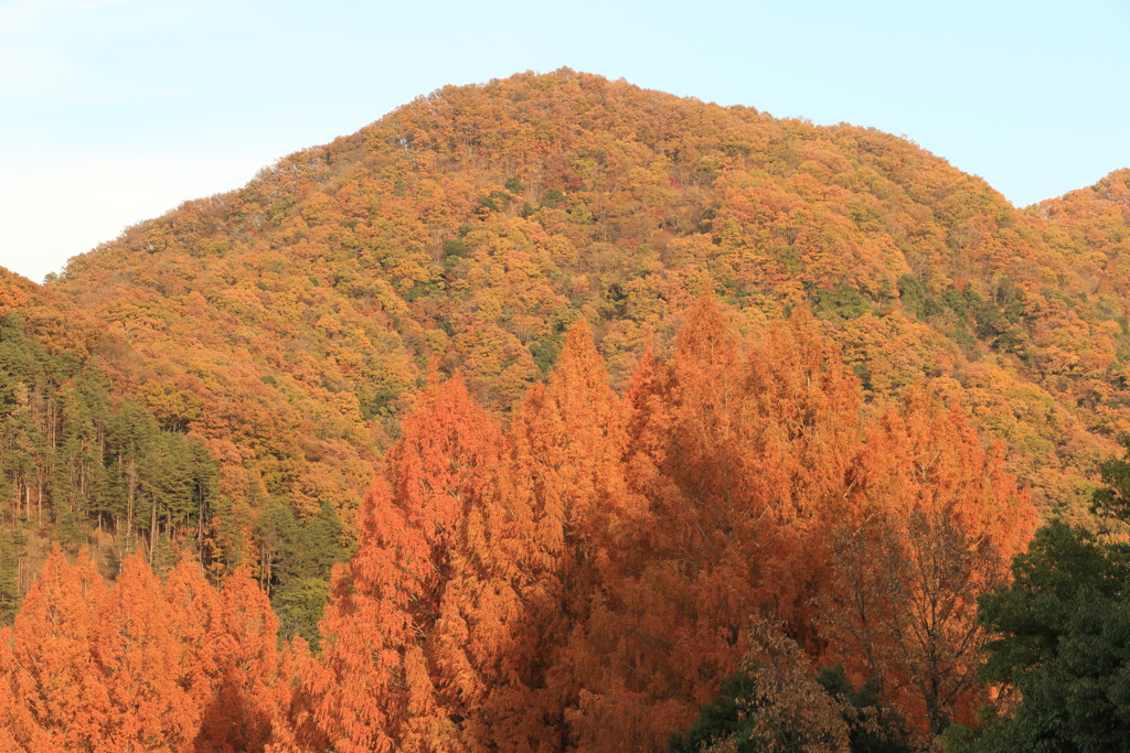 燃え上がる山