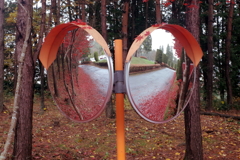 鏡の中の秋