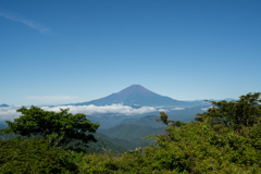 涼風