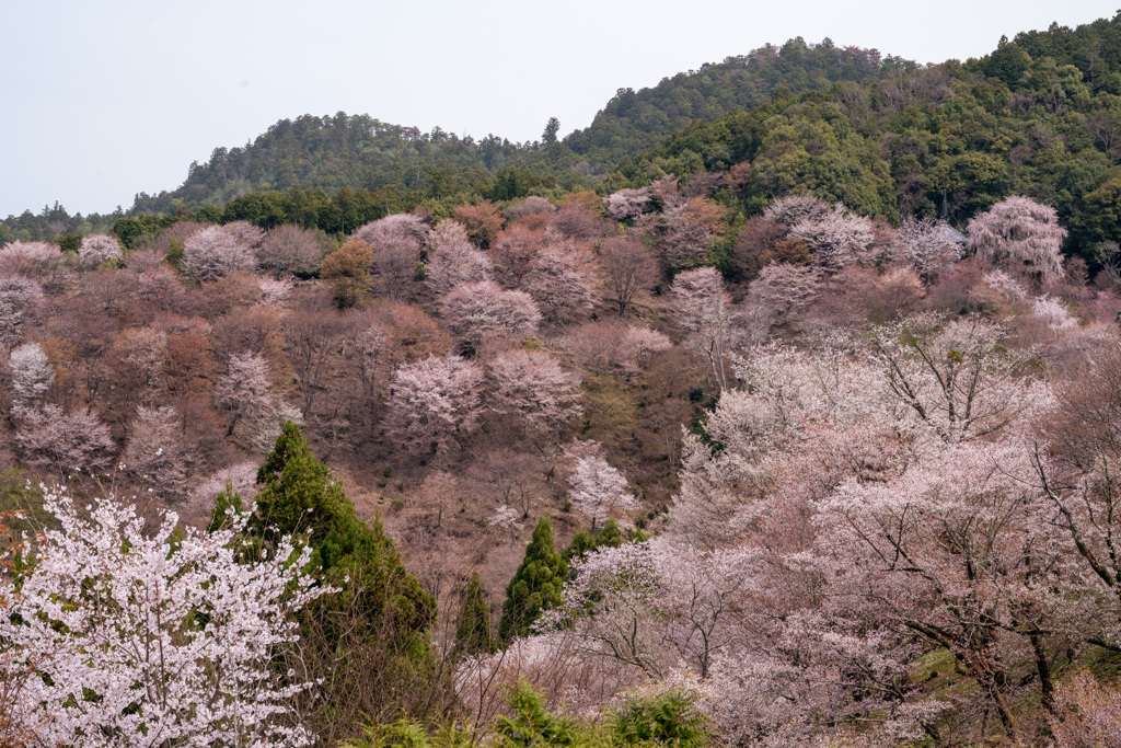 下の千本