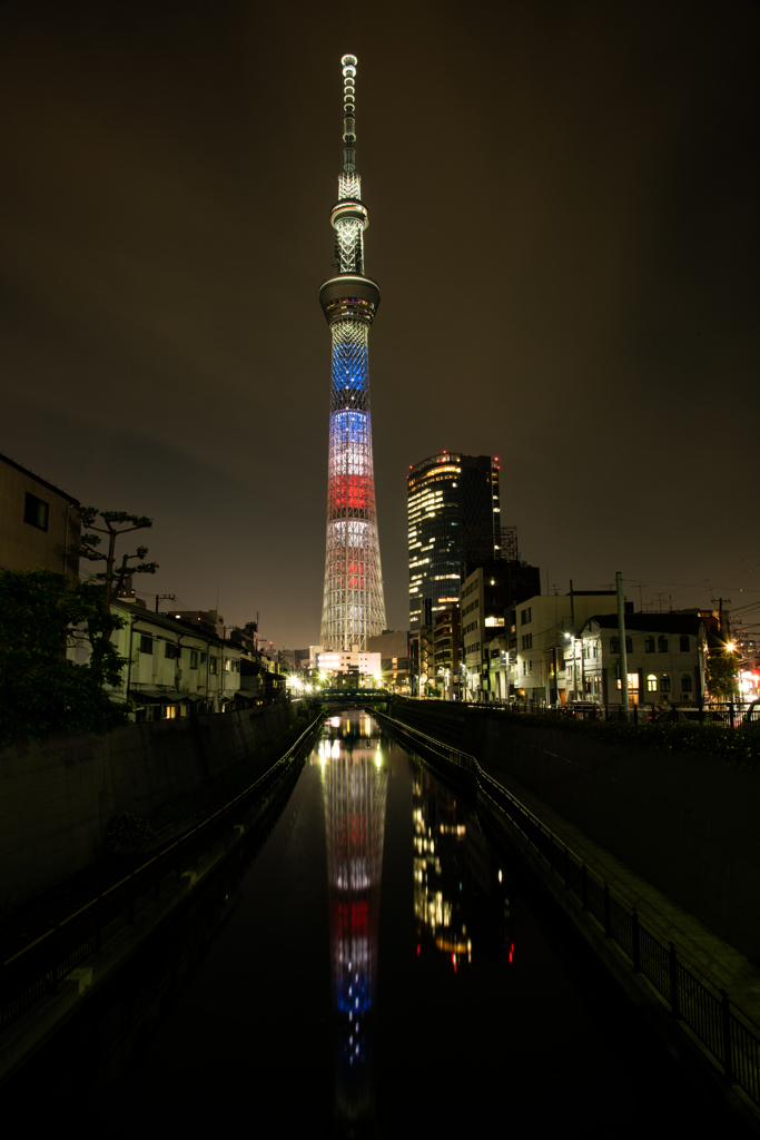 ダブルトリコロール