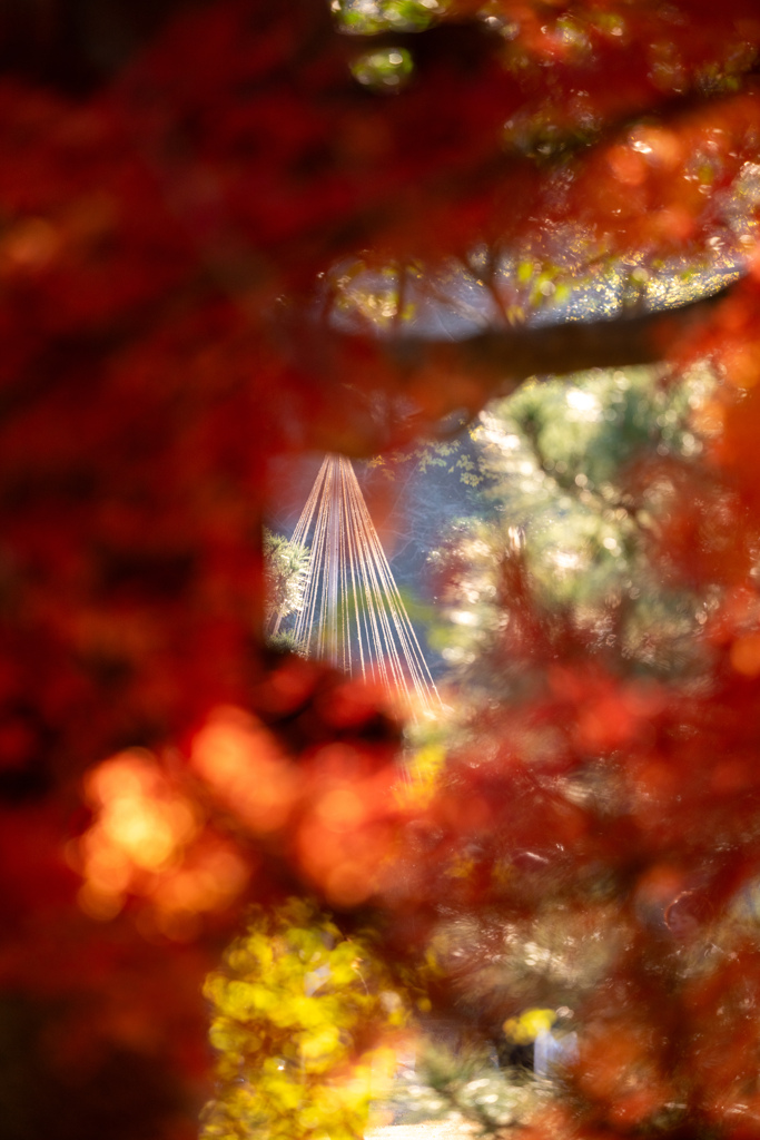 次の季節を垣間見る