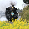 蒸気機関車の春