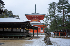 壇上伽藍