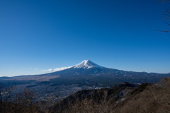 雄大