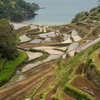 浜野浦の棚田