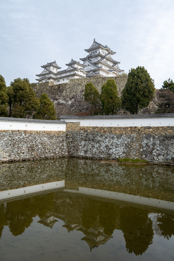 リフレクション