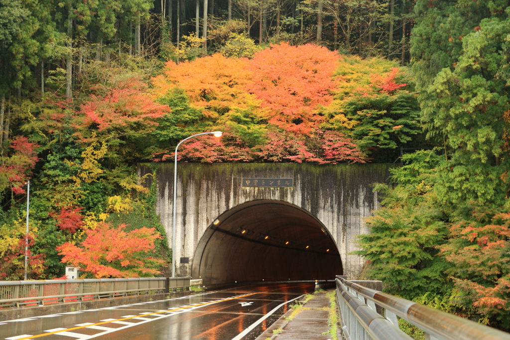 トンネル