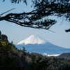 芙蓉峰