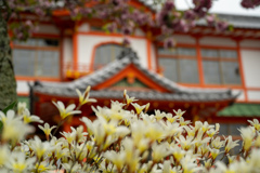 武雄温泉新館