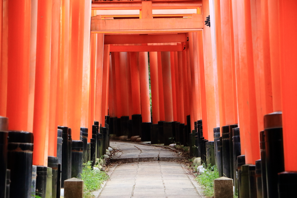 千本鳥居（２）
