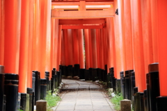 千本鳥居（２）