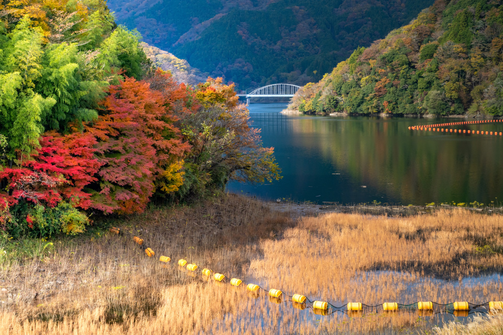 アーチ橋