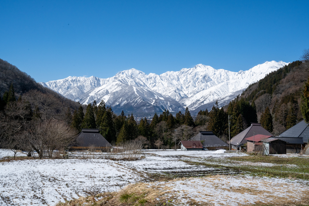 青鬼の棚田