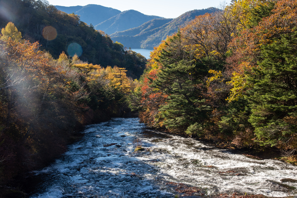 湯川
